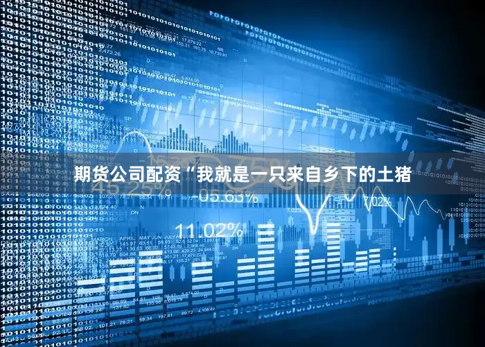 期货公司配资“我就是一只来自乡下的土猪