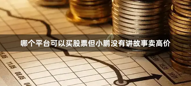哪个平台可以买股票但小鹏没有讲故事卖高价
