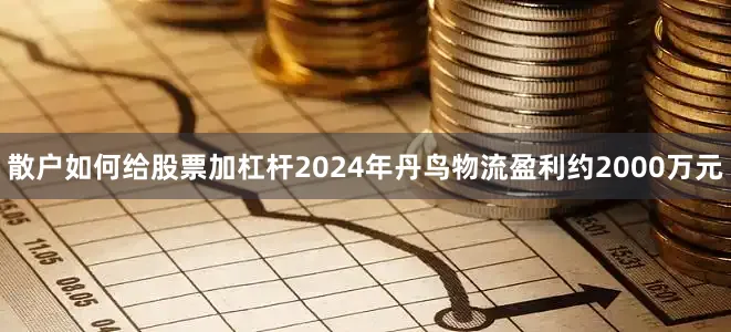 散户如何给股票加杠杆2024年丹鸟物流盈利约2000万元
