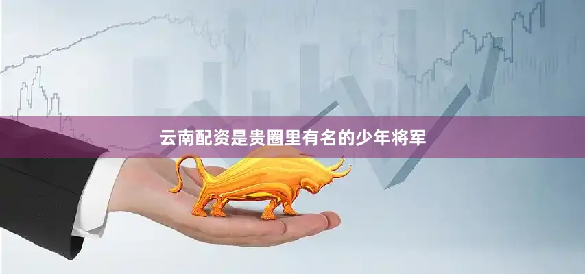 云南配资是贵圈里有名的少年将军