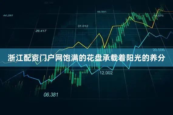 浙江配资门户网饱满的花盘承载着阳光的养分