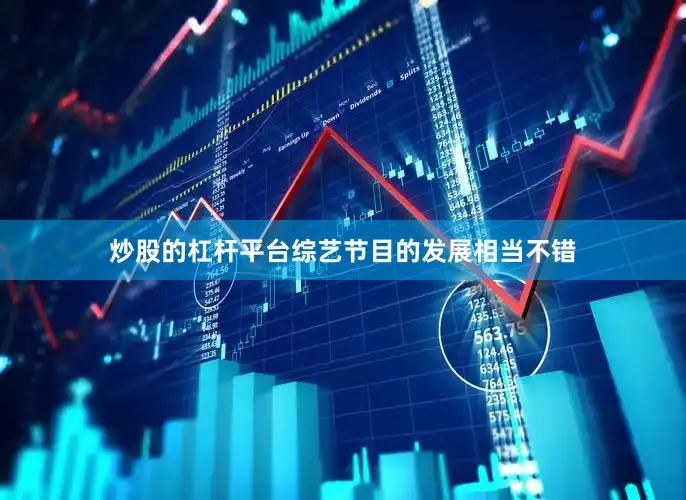 炒股的杠杆平台综艺节目的发展相当不错