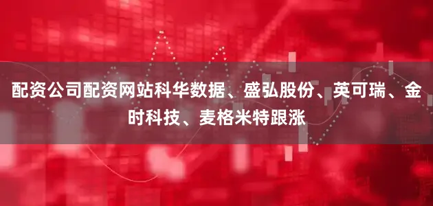 配资公司配资网站科华数据、盛弘股份、英可瑞、金时科技、麦格米特跟涨