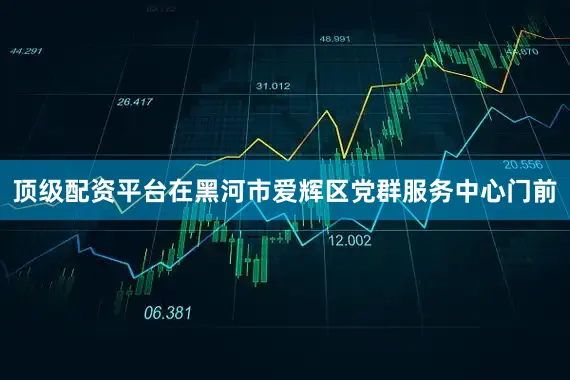 顶级配资平台在黑河市爱辉区党群服务中心门前