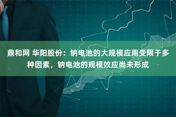 鼎和网 华阳股份：钠电池的大规模应用受限于多种因素，钠电池的规模效应尚未形成