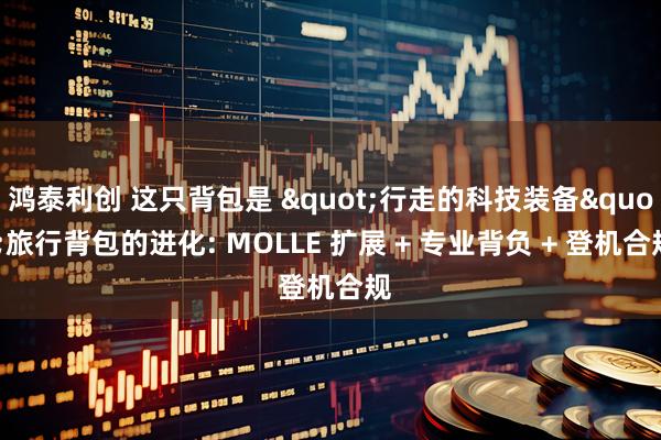 鸿泰利创 这只背包是 "行走的科技装备"旅行背包的进化: MOLLE 扩展 + 专业背负 + 登机合规