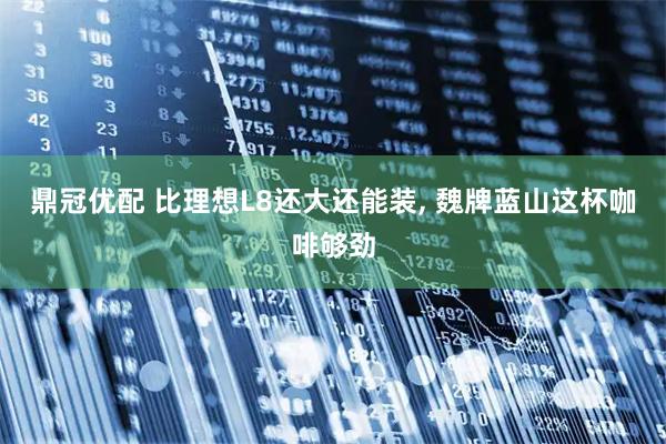 鼎冠优配 比理想L8还大还能装, 魏牌蓝山这杯咖啡够劲